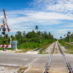 TrainAcc TrainAcc