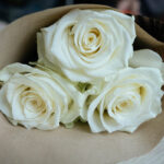 FuneralRoses FuneralRoses