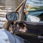 CarAccidentPond CarAccidentPond