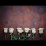 6_Roses